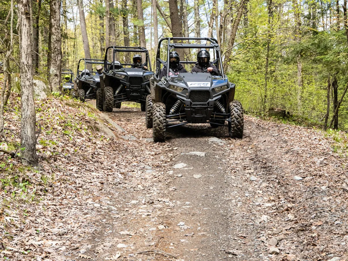 a rzr traveling down a dirt road in a forest