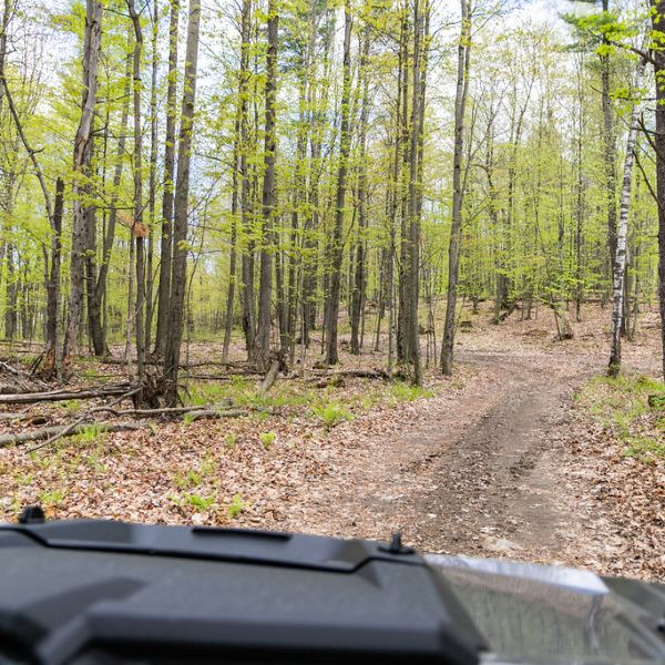 a car parked in a wooded area