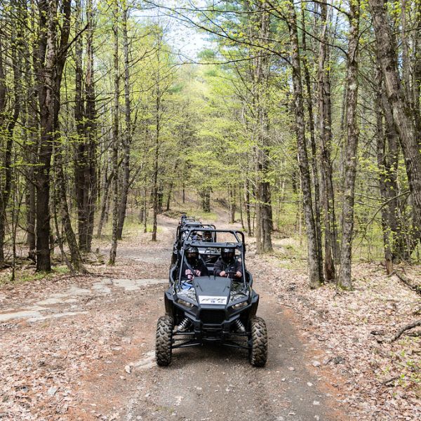 a rzr parked on a dirt path in a wooded area