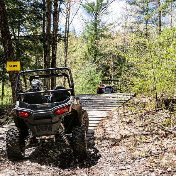 a rzr is parked in a forest