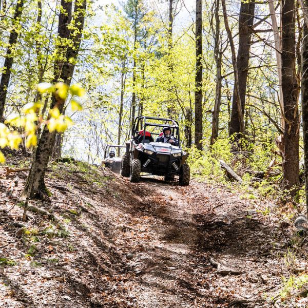 a rzr driving in a forest